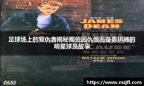 zoty中欧官方网站